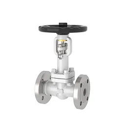 globe valve